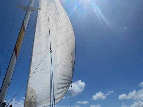 Wadadli Cats-安提瓜必去景点