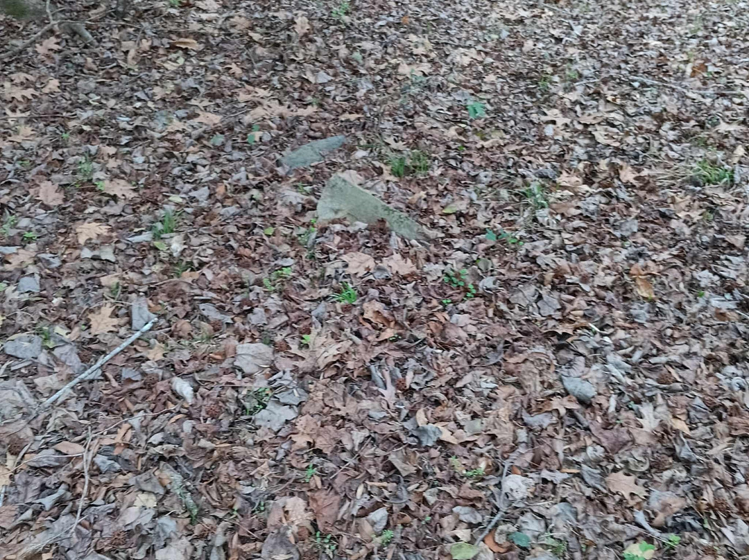 Landsford Canal State Park-Catawba必去景点