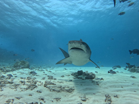 OK Maldives-马累必去景点