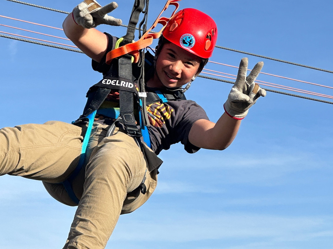 Arizona Zipline Adventures-Oracle必去景点