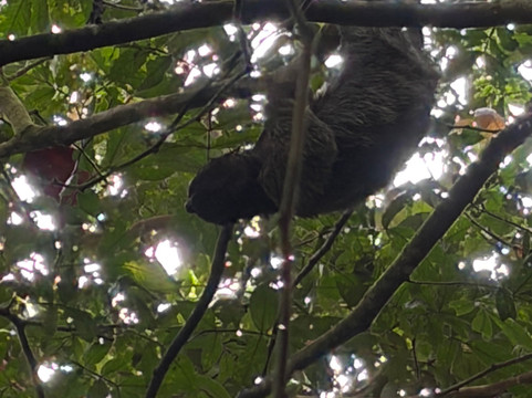 Julio's Happy Tour-El Jobo必去景点