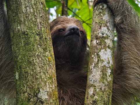 Nature Amazing Tours Costa Rica-Filadelfia必去景点
