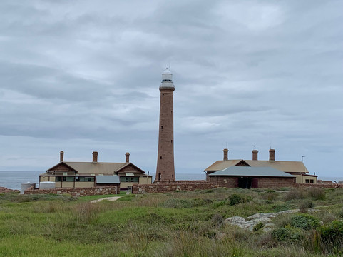 Gabo Island-Mallacoota必去景点