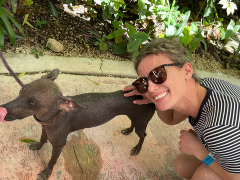 Croco Cun Zoo-从莫雷洛斯港必去景点