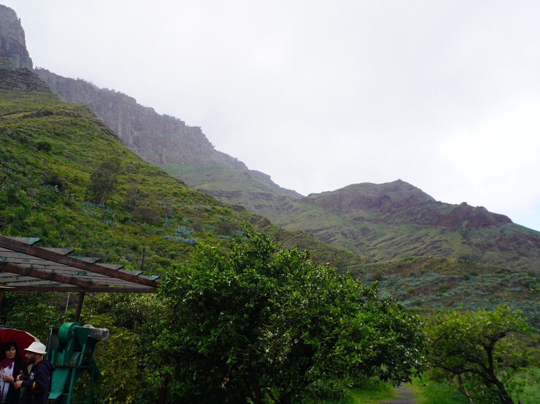Bodega Los Berrazales-Agaete必去景点