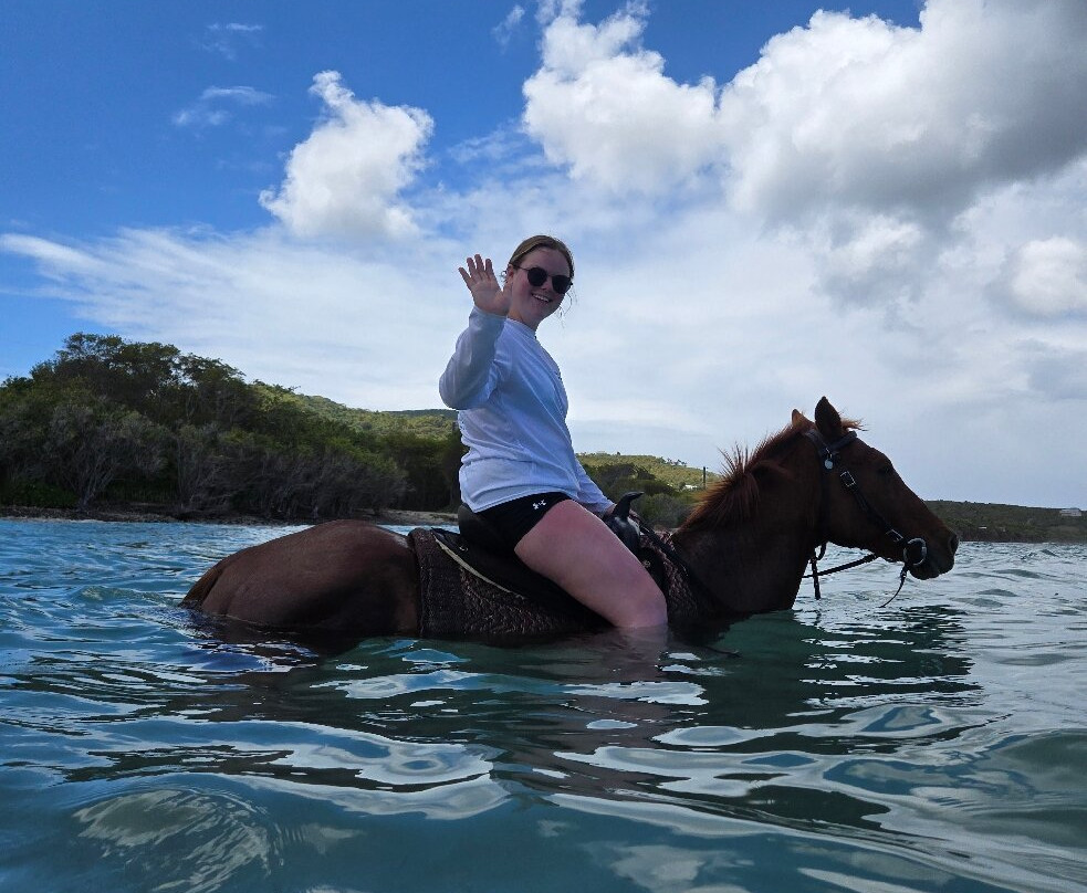Equus Rides Horseback Riding St. Croix-Frederiksted必去景点