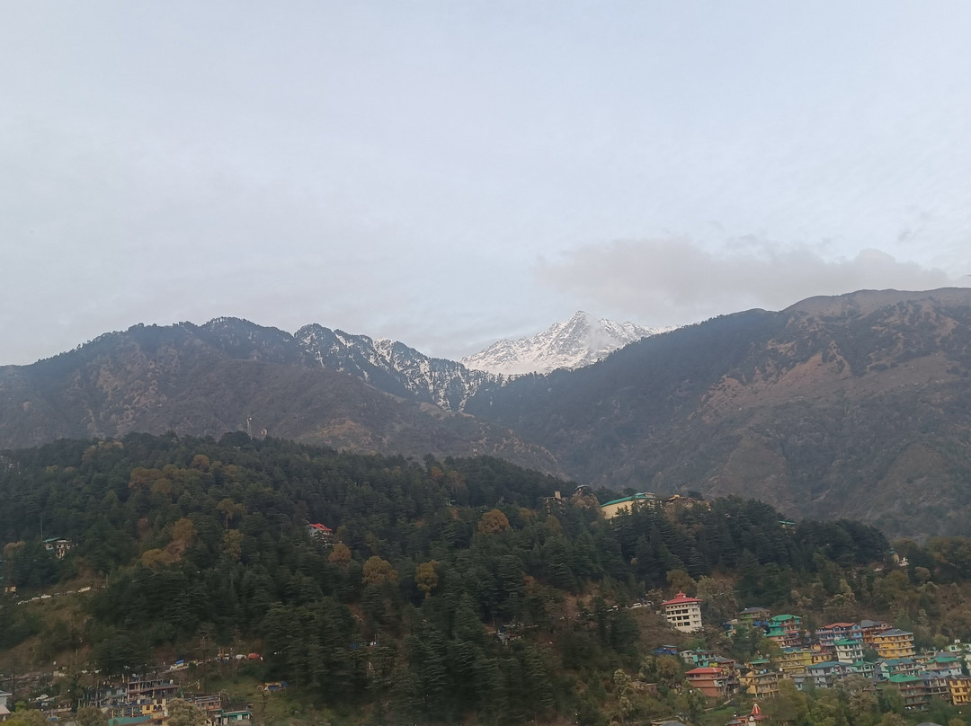 Gangnam Korean Restaurant (Dharamsala)