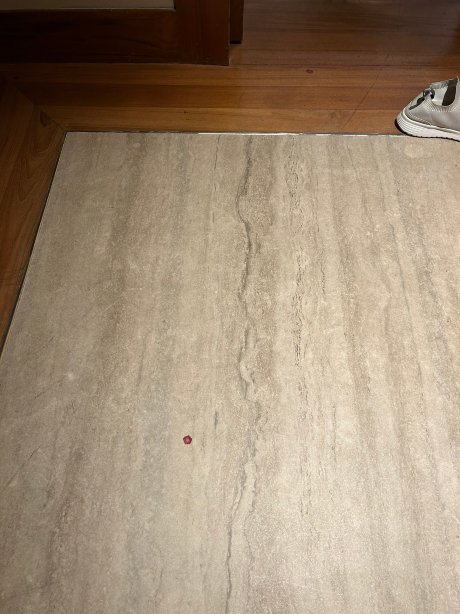 新加坡圣淘沙索菲特酒店-官方