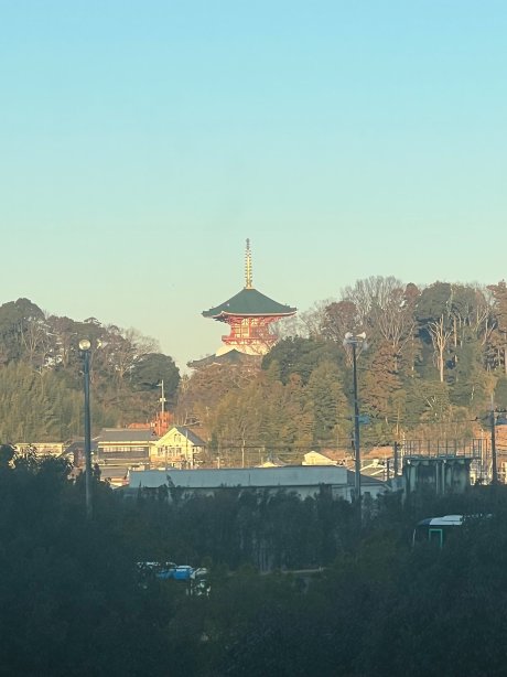 成田国际花园酒店-官方