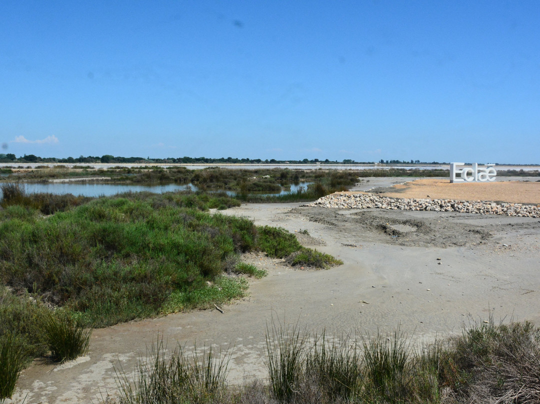 Salin d'Aigues-Mortes-艾格莫尔特必去景点