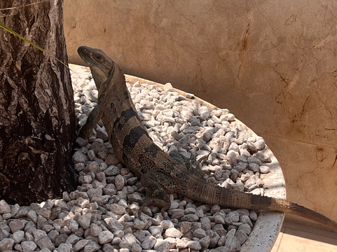 Top Travel Costa Rica-圣何塞必去景点