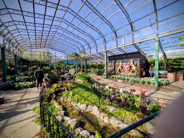 Duthie Park Winter Gardens-阿伯丁必去景点