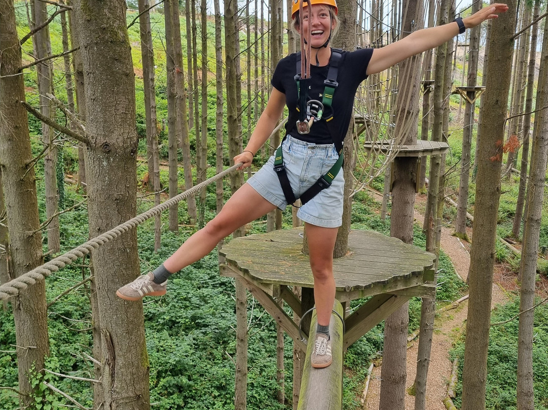 The Tunnel Tree Tops High Ropes-Charmouth必去景点