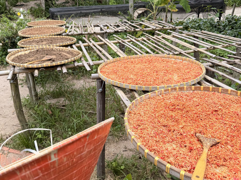 Phu Quoc Countryside-富国岛必去景点