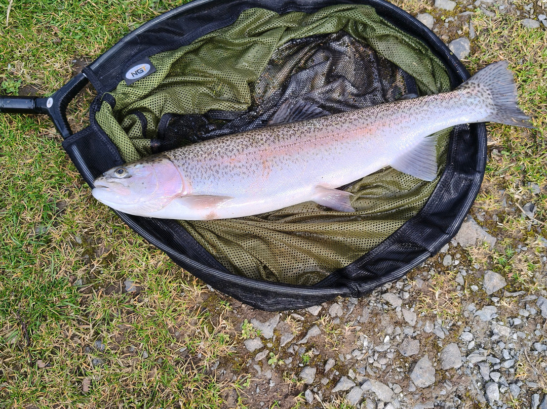 Kailzie Estate-皮布尔斯必去景点