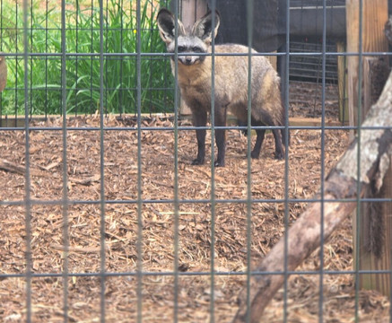 Georgia Untamed Zoo-Hogansville必去景点