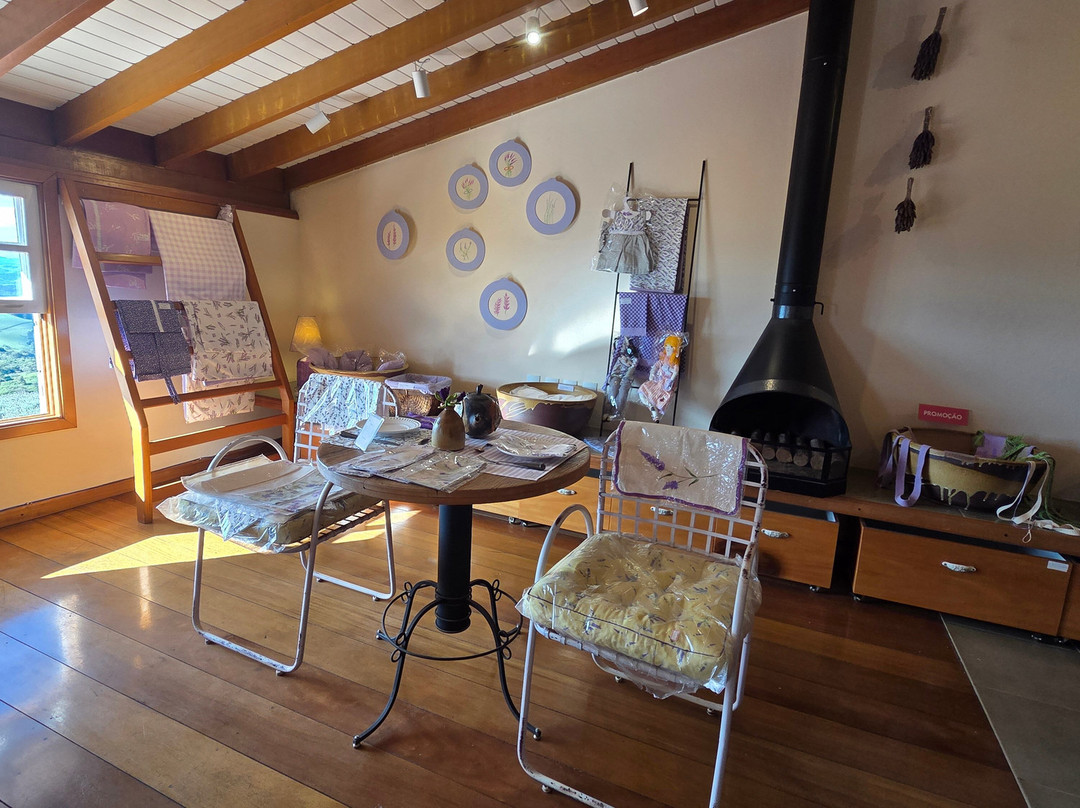 Lavandario-Cunha必去景点