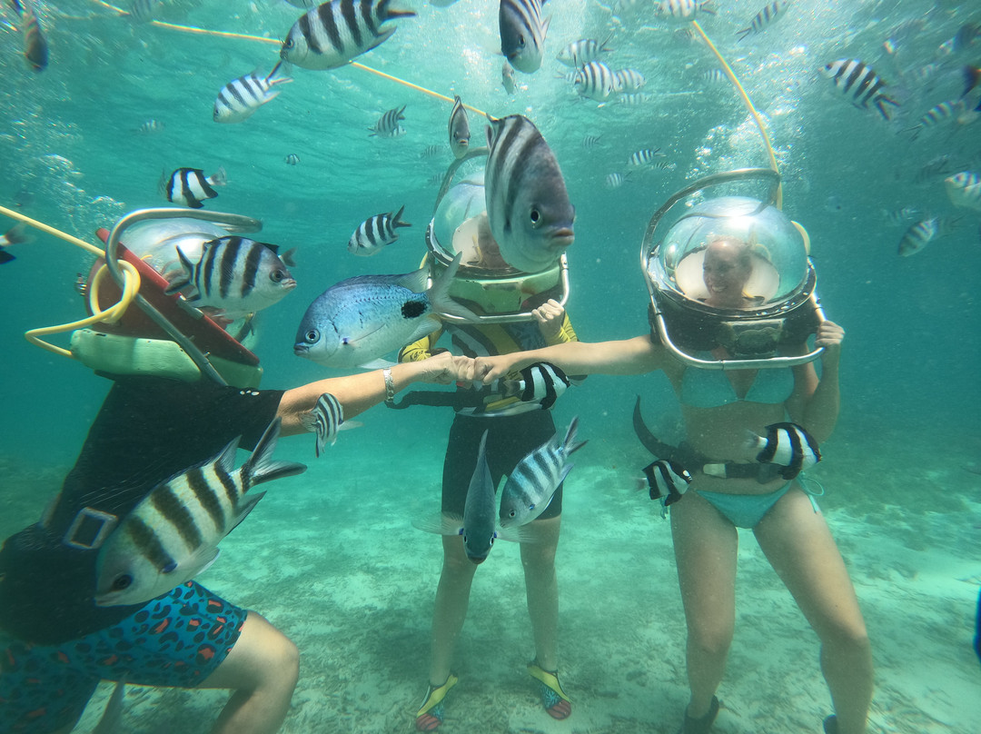 水上乐园-贝尔马尔必去景点