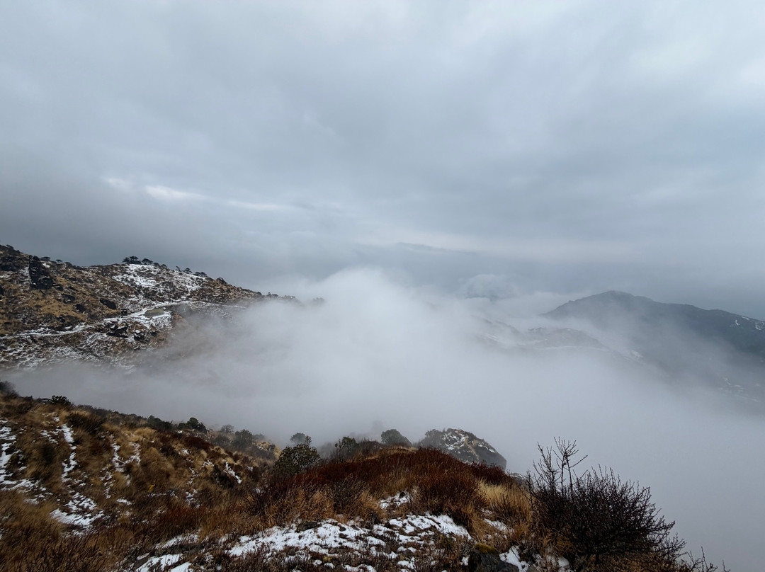 Aamees Alpine Adventure-大吉岭必去景点