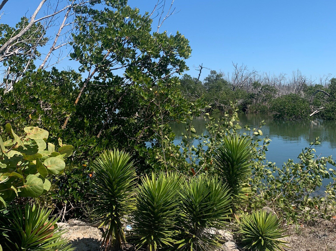 J.N. "Ding" Darling National Wildlife Refuge-萨尼贝尔岛必去景点