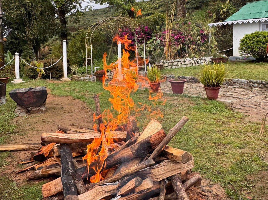 Yule Tea Retreat主图