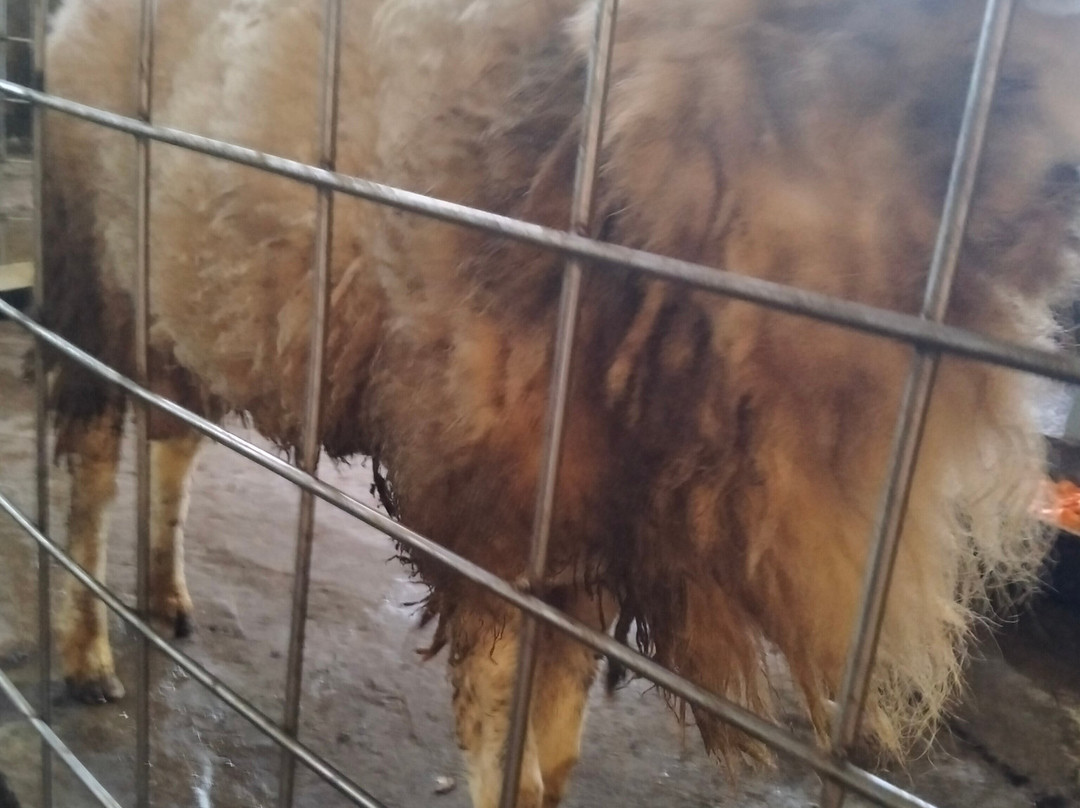 Hot spring Park-岘港必去景点
