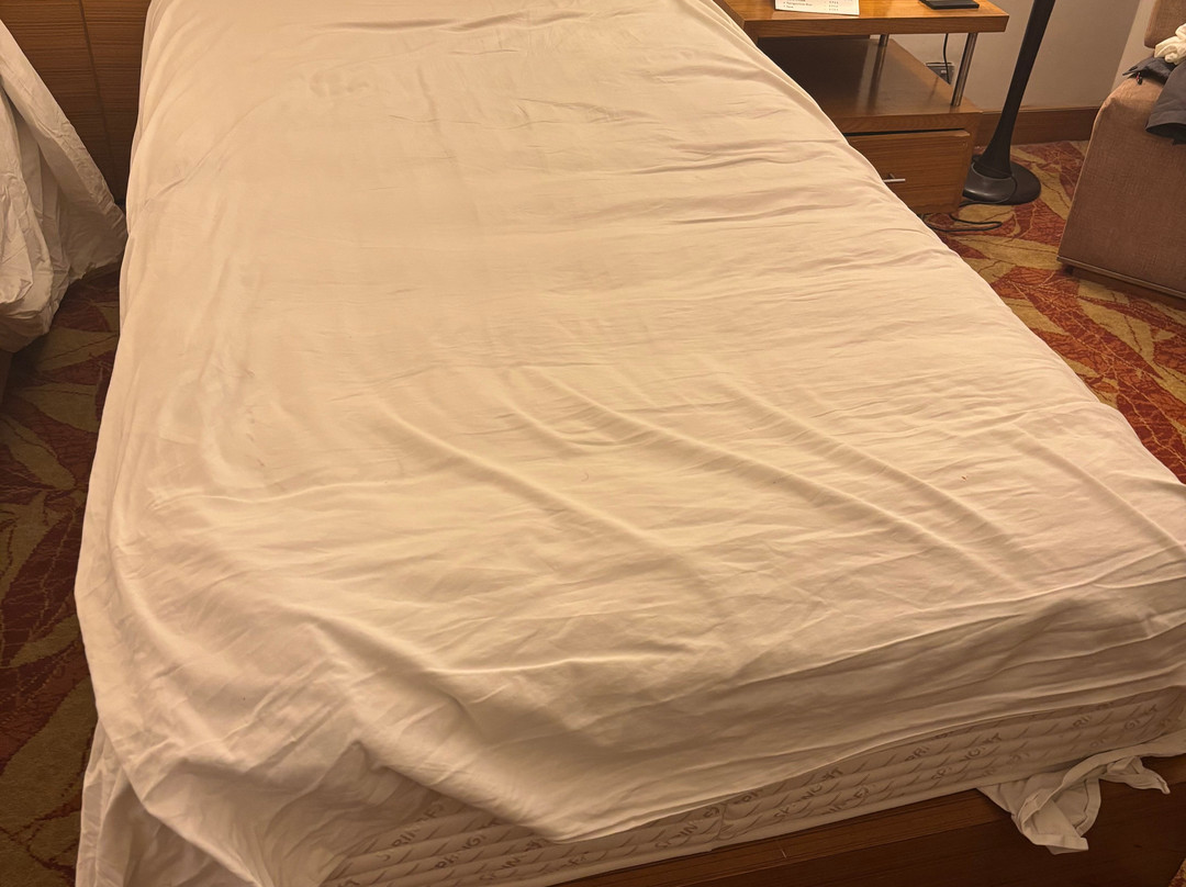 纳格浦尔傲世酒店主图