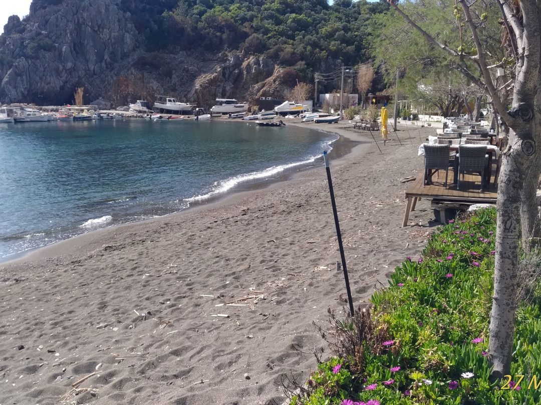 Hayıtbuku Koyu-Mesudiye必去景点