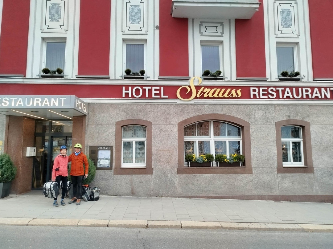 Gattendorf酒店住宿-施特劳斯酒店