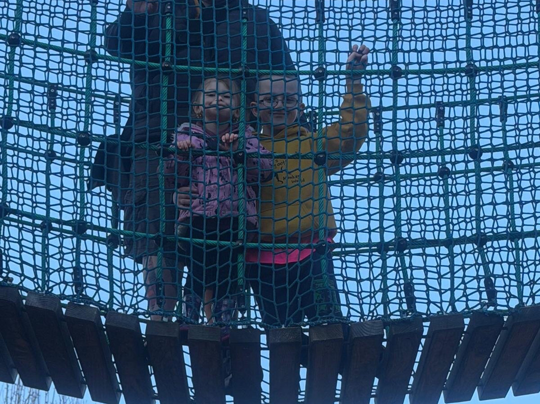 Monkey World-韦勒姆必去景点