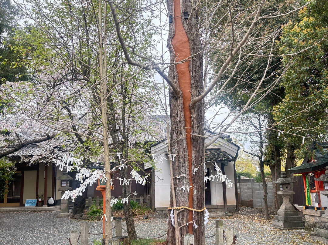 Yakuon Hachiman Shrine-大和郡山市必去景点
