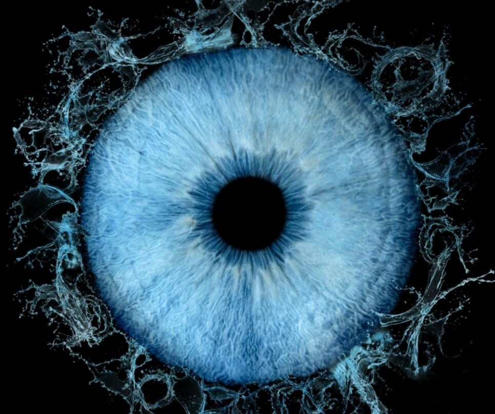 Iris Galerie Amsterdam Spiegelgracht-阿姆斯特丹必去景点