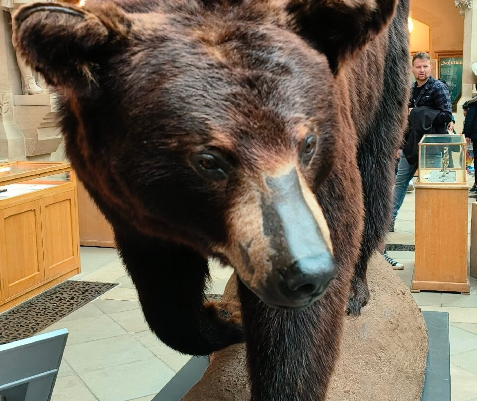 牛津大学自然历史博物馆-牛津必去景点