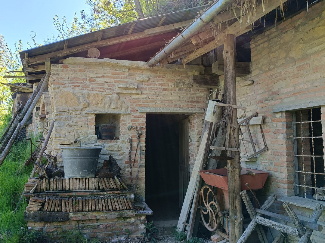 Case Grotta Di Mombarone-阿斯蒂必去景点