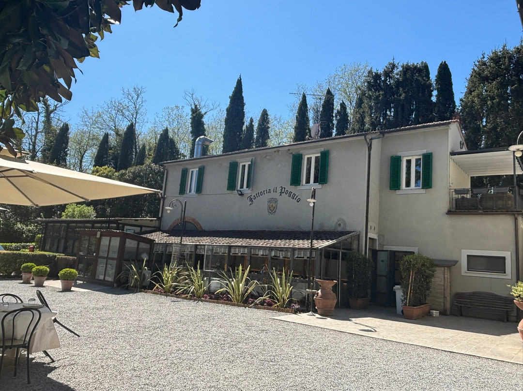 Fattoria Il Poggio-Montecarlo必去景点