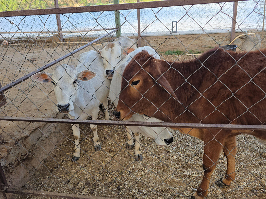 Sarasiruham度假村私人泳池别墅主图