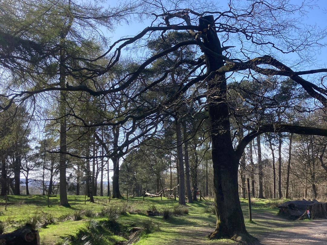 Longshaw Estate-峰区国家公园必去景点