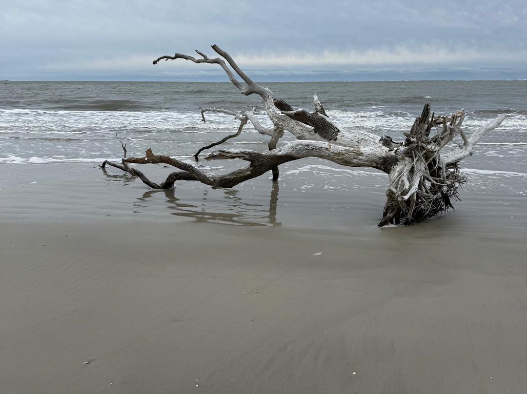 St. Phillips Island Ferry-Saint Helena Island必去景点