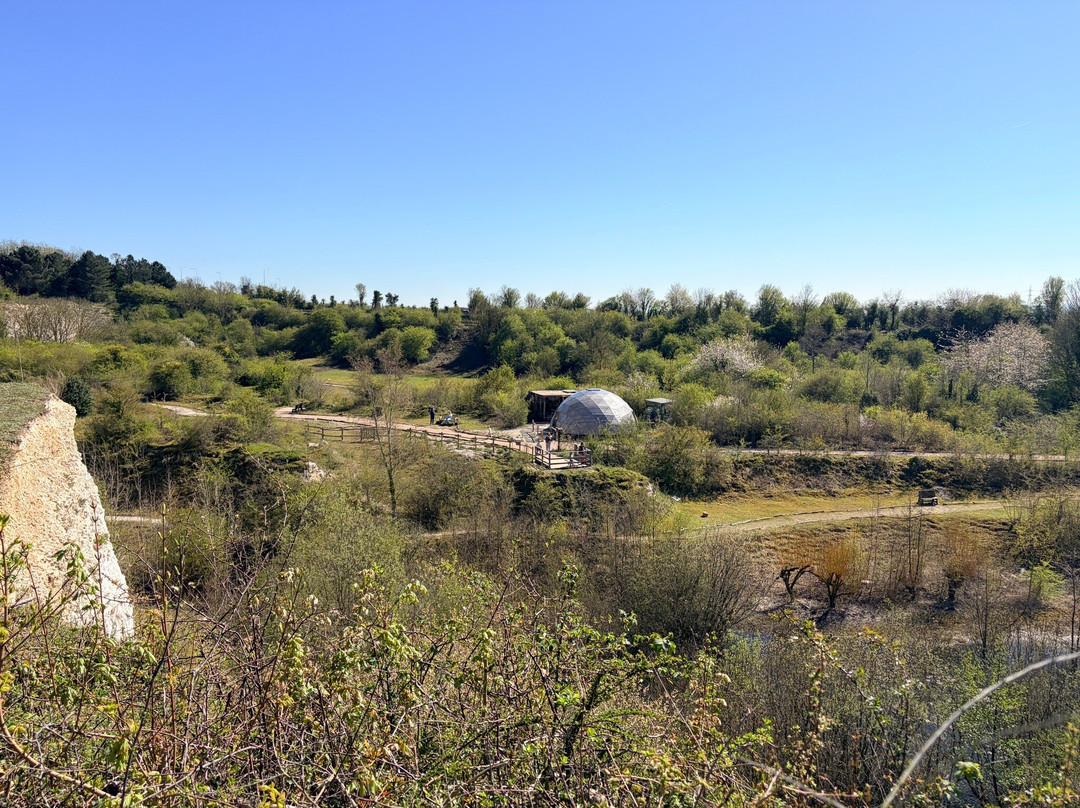 Monkton Nature Reserve-Ramsgate必去景点