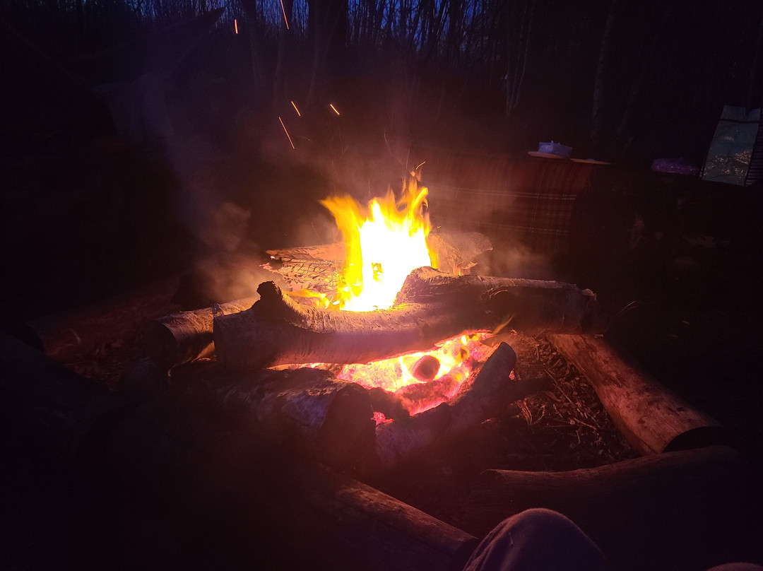 Joe's Bows-Faversham必去景点