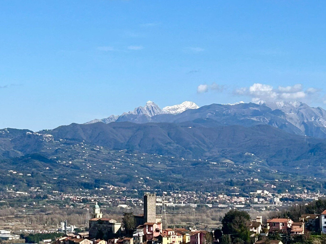 Arcola-Arcola必去景点