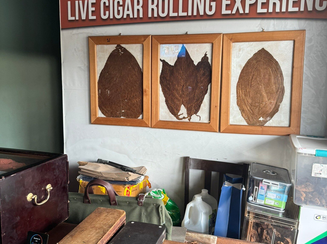 Aromas Cigar & Martini Bar-Road Town必去景点