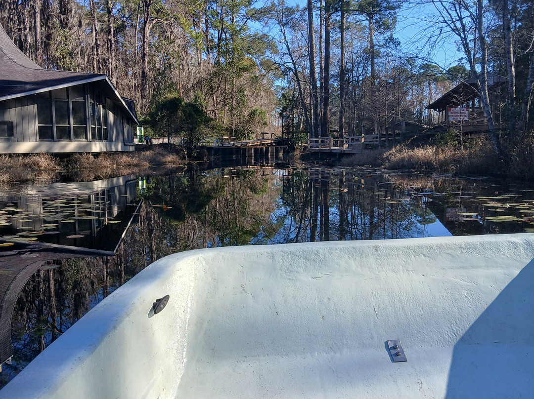 Okefenokee Swamp Park-Waycross必去景点