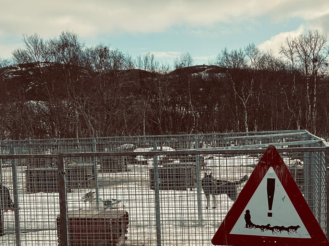 Husky Tours By Snowhotel Kirkenes-希尔克内斯必去景点