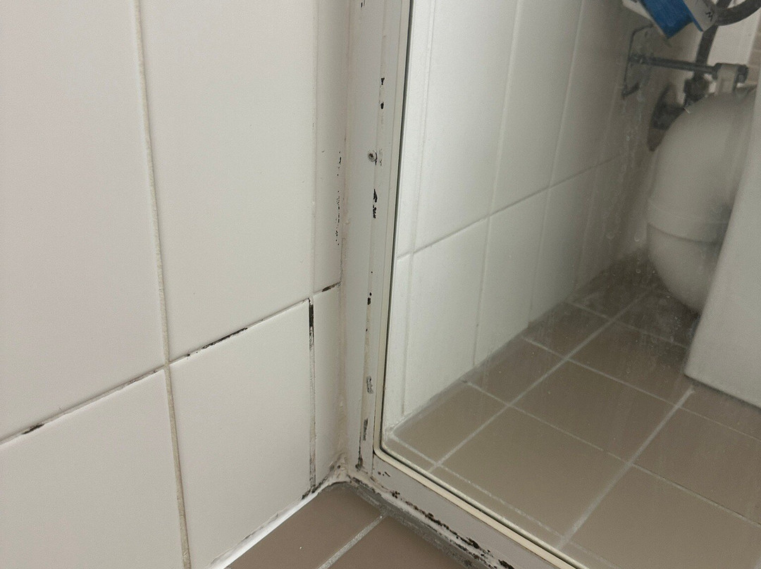 帕尔默集合酒店主图