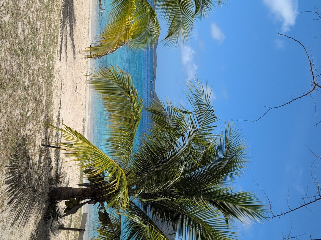 Garden by the Sea B&B主图