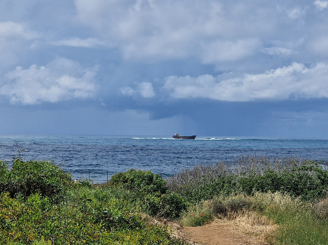 Shipwreck MV Demetrios II-Chloraka必去景点