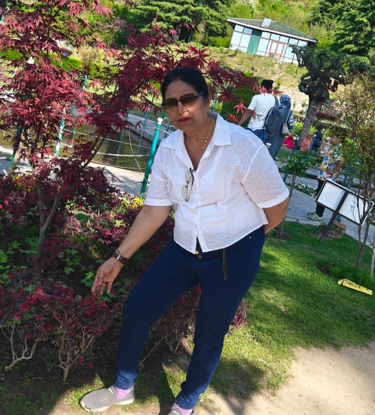 斯里纳格雪地酒店主图