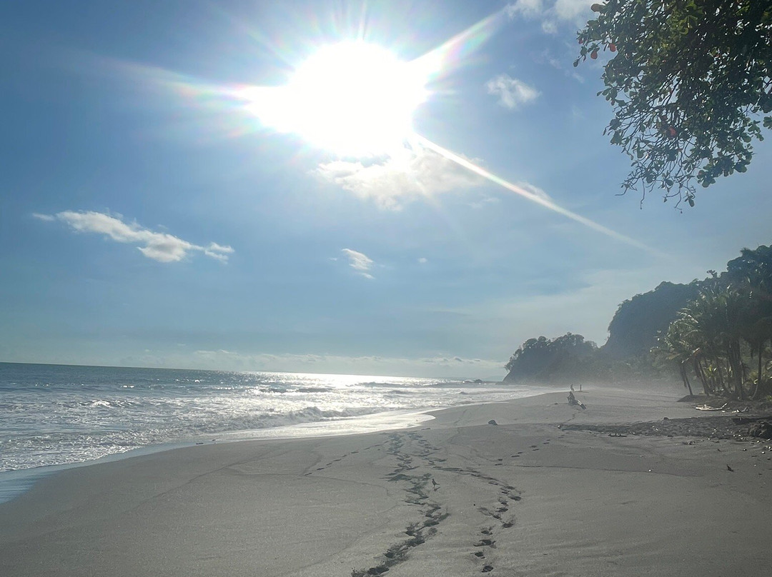 富果德尔索尔海滨酒店主图