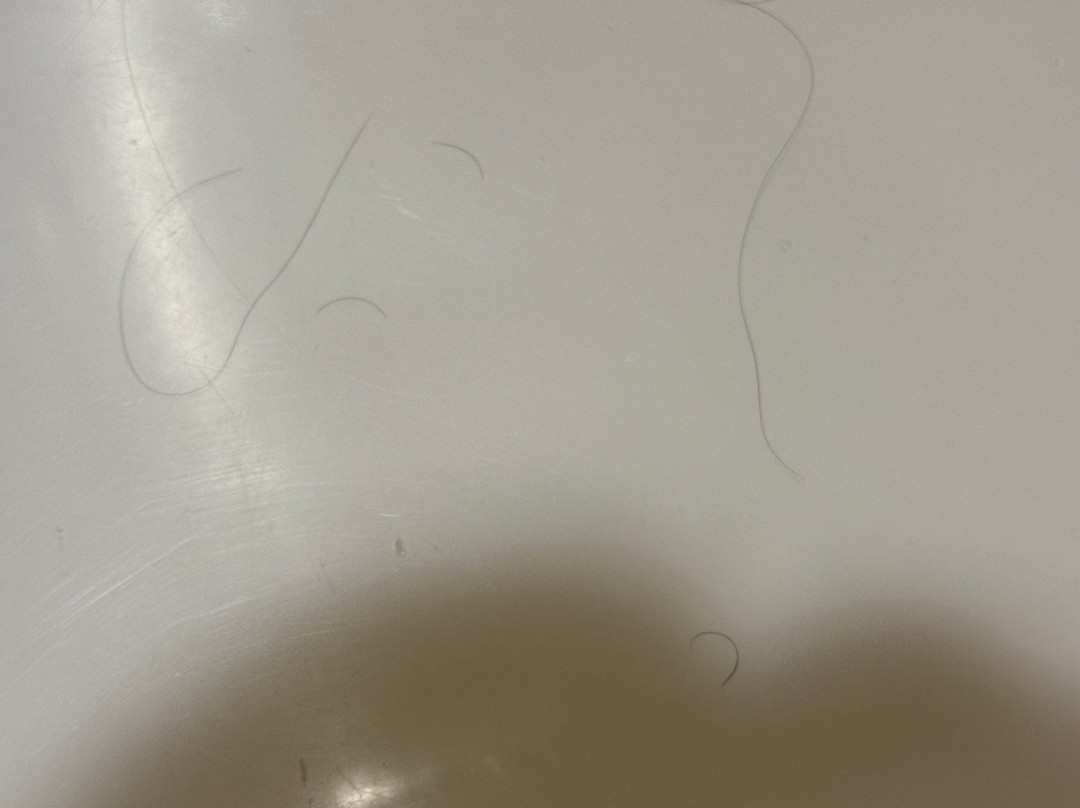 迪士尼红杉小屋®主图